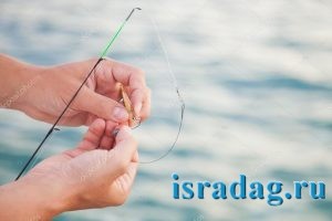 Современная рыбалка: как правильно насаживать приманки на джиг головки и привязывать их к леске?