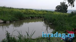 Секретное место для рыбалке волзле реки Иордан