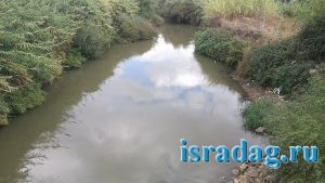 Вид реки Иордан открывающийся с моста Арик. Израиль.